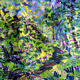 Rhythmic Trail | 66 inches X 66 inches | 2002 | Available