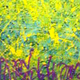 All Knowing | 96 inches X 96 inches | 2003 | SOLD